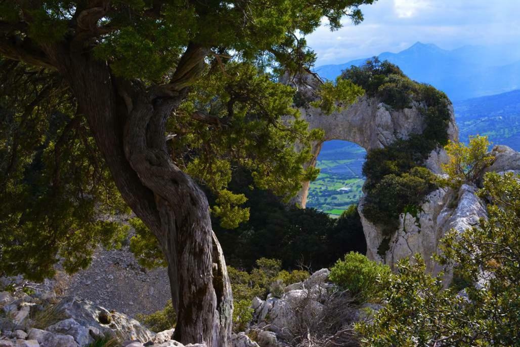 Canne Al Vento Galtellì エクステリア 写真